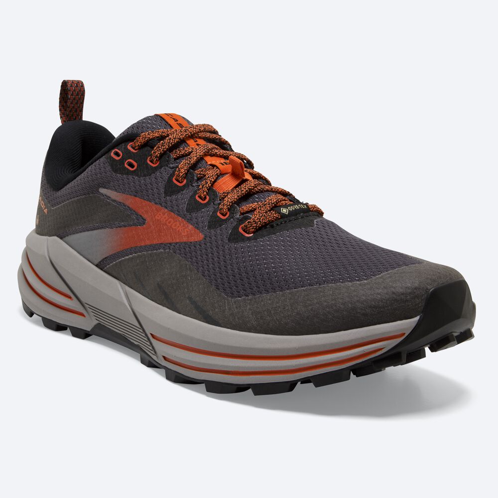 Brooks Cascadia 16 GTX Moški Trail Tekaški Copati Črne | Slovenija-62491